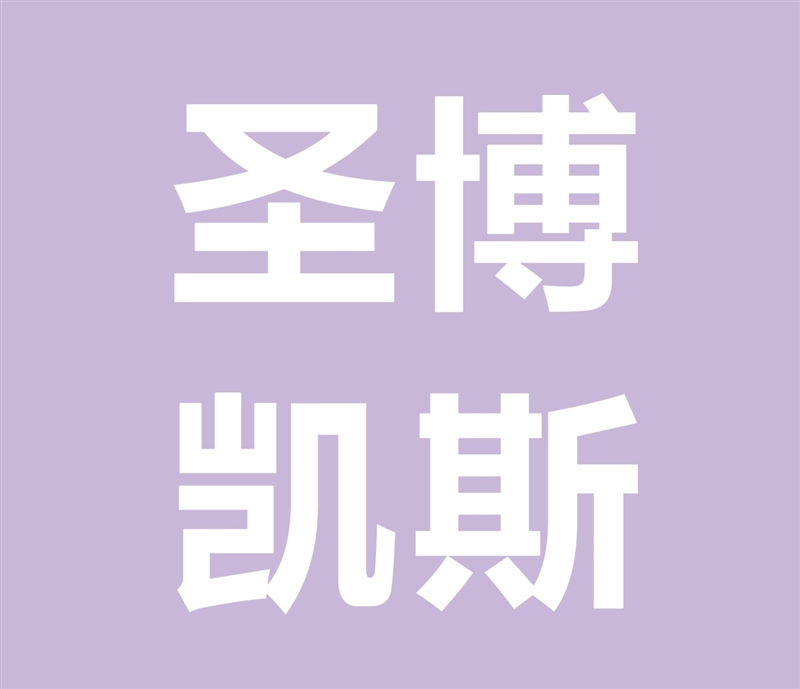 圣博凯斯（湖南）成套设备有限公司的图标